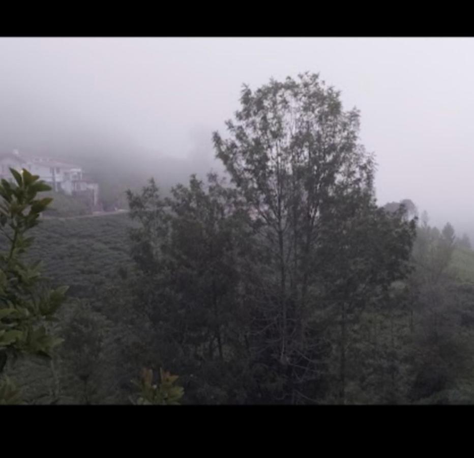 The Valley Villa Kotagiri Kültér fotó